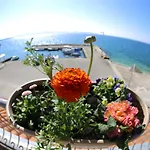 Hotel Delfin Zadar