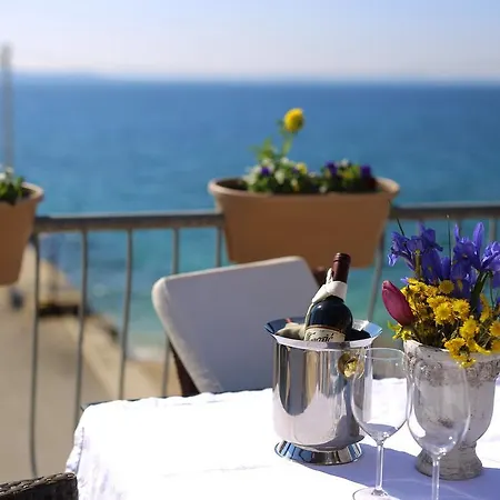 Delfin Hotel