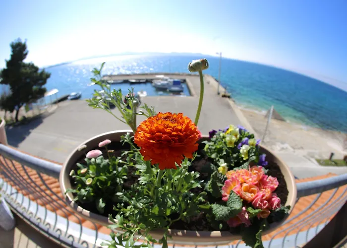 Hotel Delfin Zadar