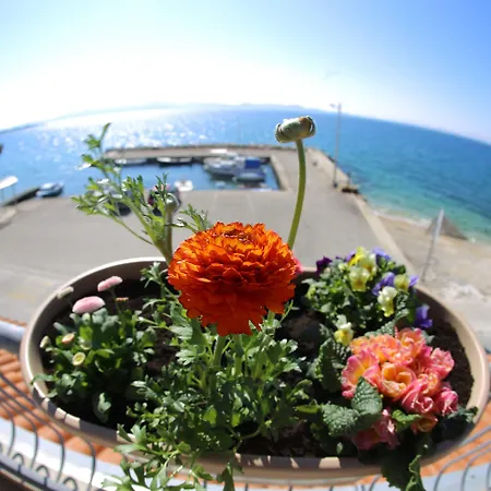 Hotel Delfin Zadar