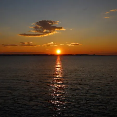 Delfin 3* Zadar