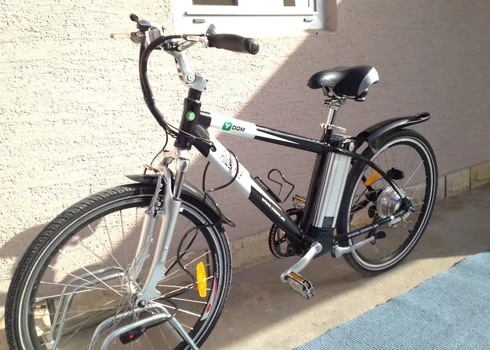 Delfin Отель 3*